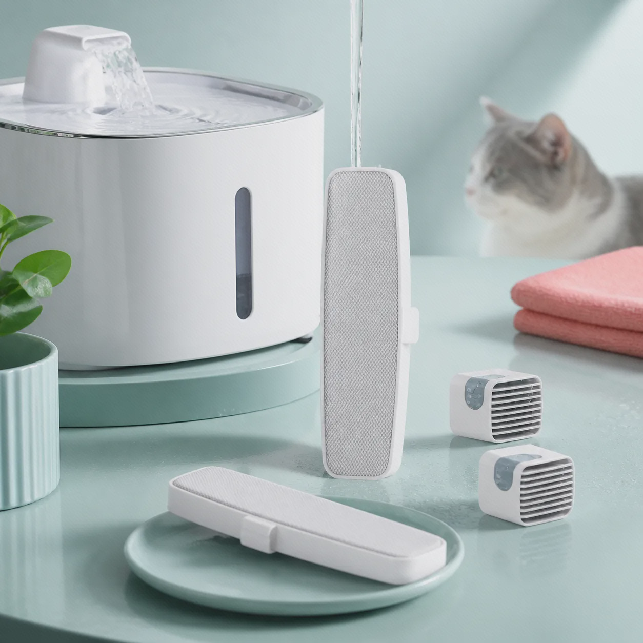 چرخه نگهداری Xiaomi Smart Pet Fountain Filter شستوشوی فیلتر آبخوری حیوانات شیائومی پیش از نصب در کنار آبخوری و گربه