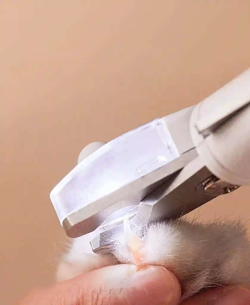 ناخن گیر LED دار حیوانات خانگی شیائومی مدل PETKIT - تصویر توضیحات 3