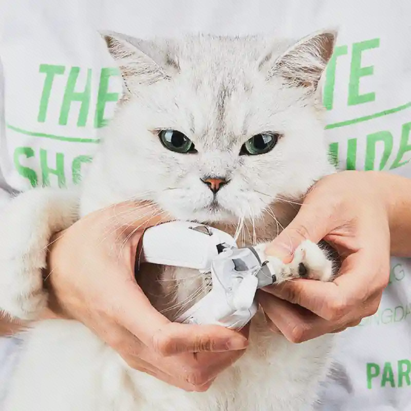 کوتاه کردن نوک ناخن گربه با ناخن گیر PETKIT