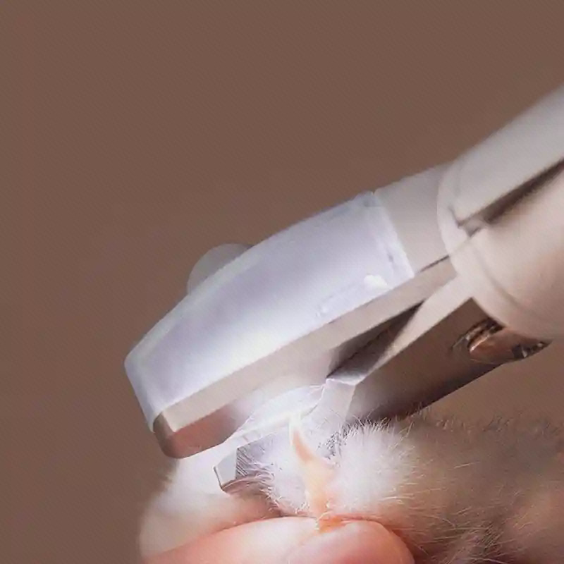 تابش LED ناخنگیر PETKIT روی ناخن نور LED ناخن گیر PETKIT روی ناخن حیوان خانگی
