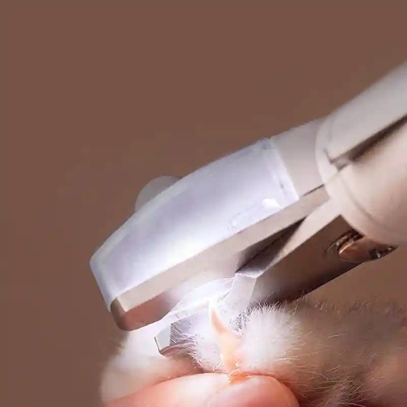 نور LED ناخن گیر PETKIT روی ناخن حیوان خانگی