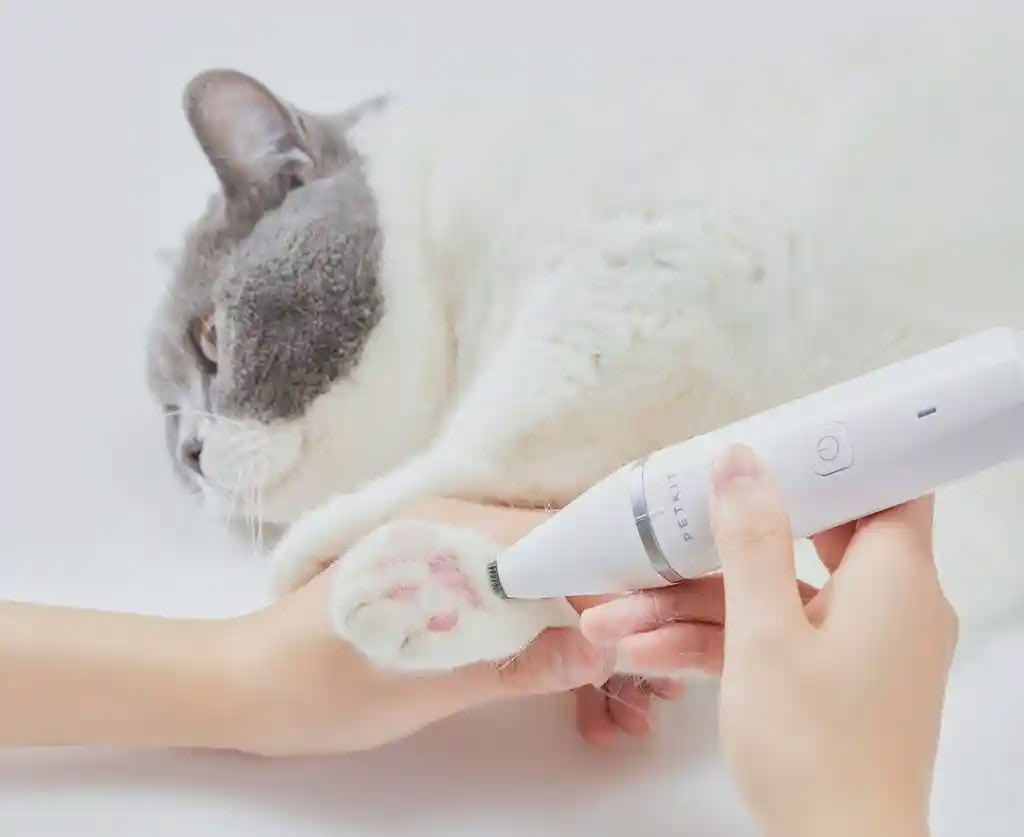 اصلاح اطراف پنجه گربه با PETKIT ماشین اصلاح PETKIT PK401 در دست کنار پنجه گربه در نمای نزدیک