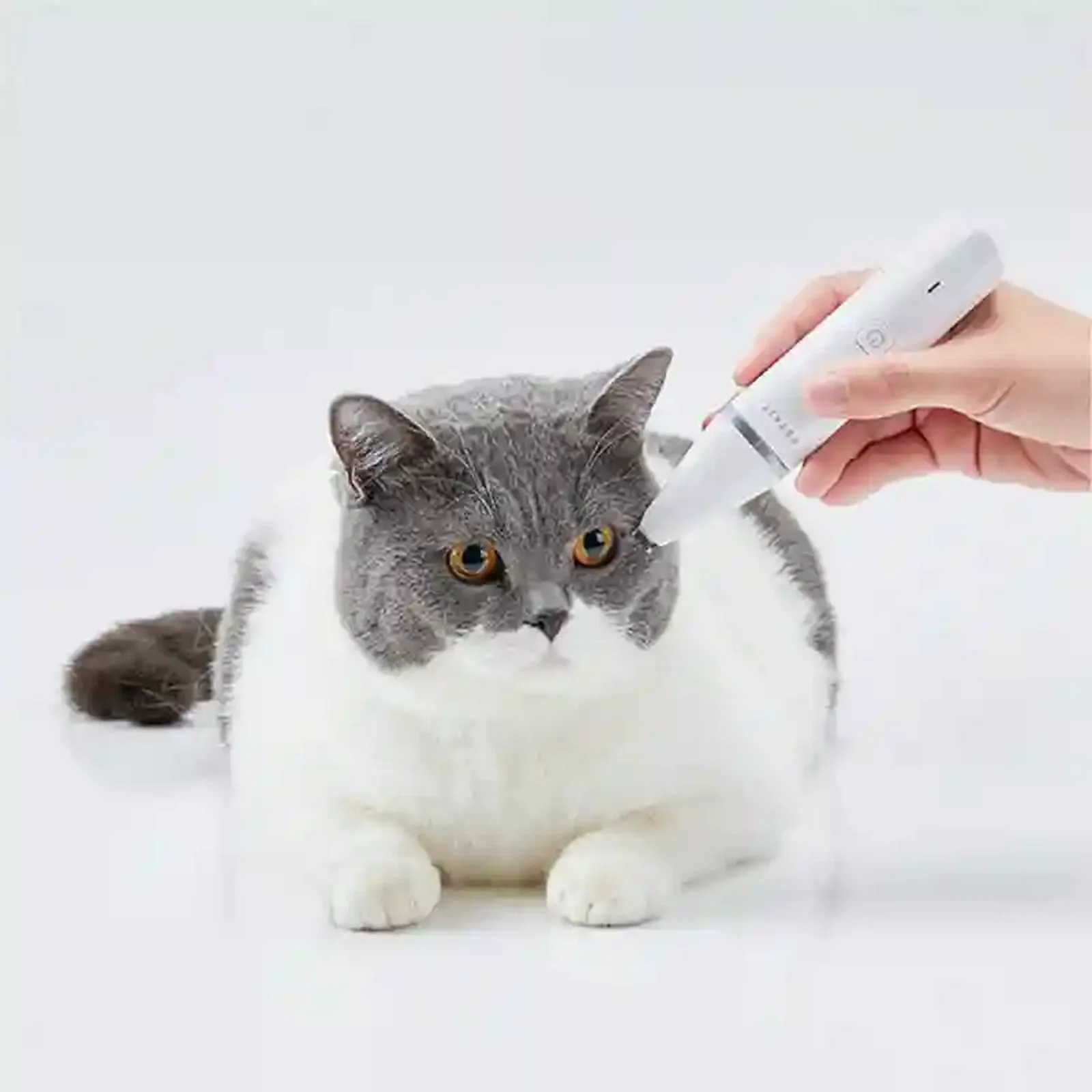 اصلاح ظریف موی صورت گربه با سری باریک PETKIT PK401