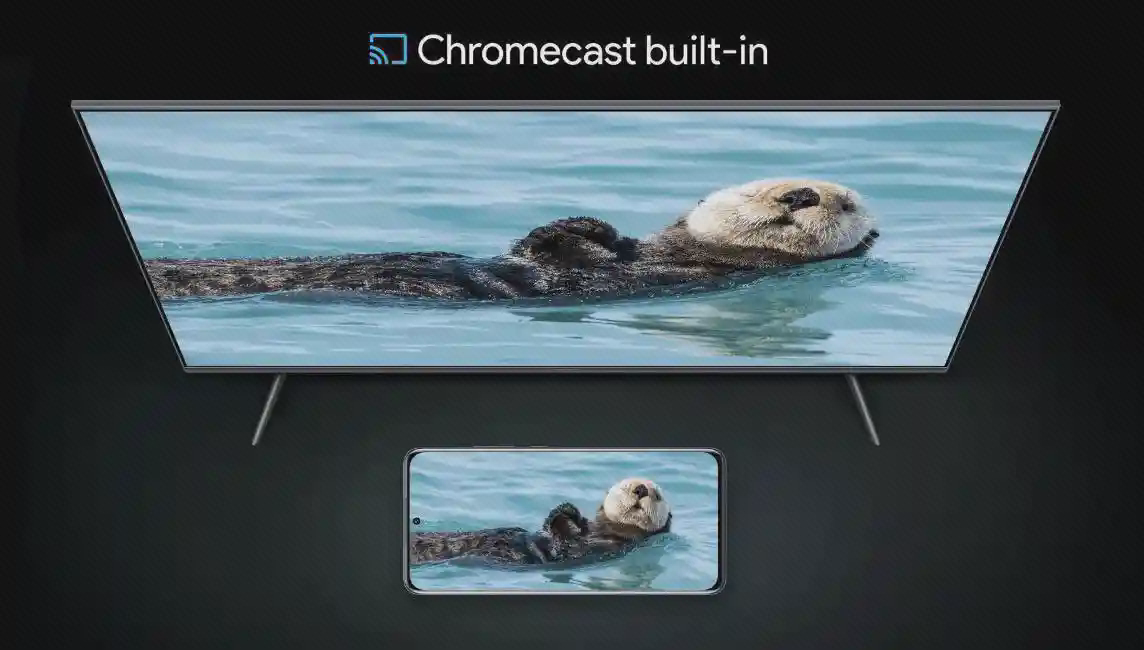 تصویر مشترک گوشی و تلویزیون Xiaomi Q2 تلویزیون Xiaomi Q2 و گوشی با تصویر یکسان سمور روی آب در پوستر Chromecast