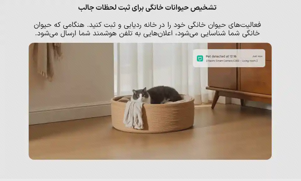 پوستر تشخیص حیوان خانگی برای Xiaomi C302 گربه داخل سبد با نمونه اعلان در پوستر فارسی دوربین شیائومی C302