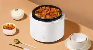 زودپز برقی شیائومی حجم 5 لیتر MIJIA Electric Pressure Cooker 5L MYL02M - تصویر توضیحات 1
